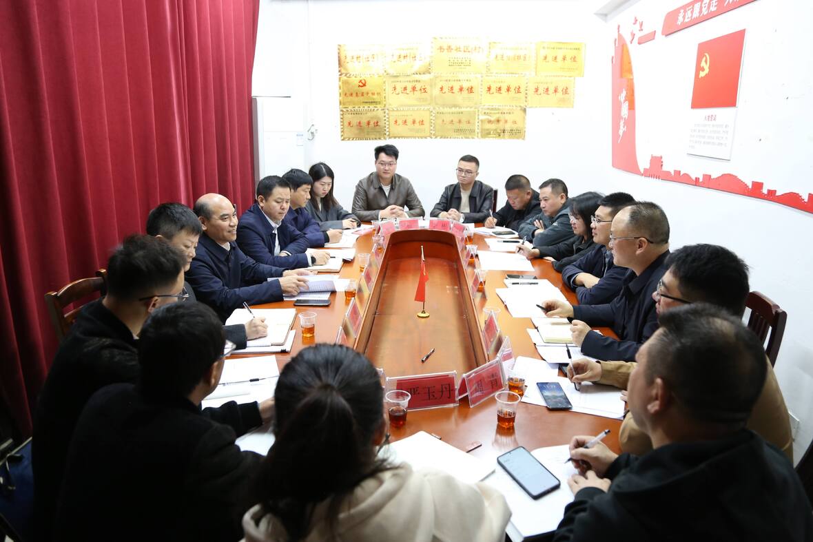 深入田间地头 共绘振兴画卷 肖亦农赴孙家桥社区开展乡村振兴调研